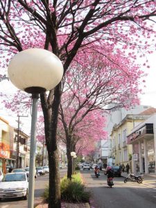 Rua Três de Outubro