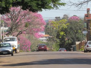 Rua Marques de Tamandaré