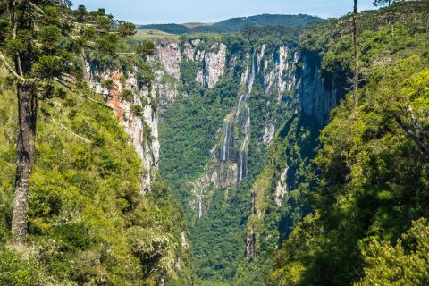 Itaimbezinho em Aparados da Serra
Foto: GettyImages - Divulgação SESC