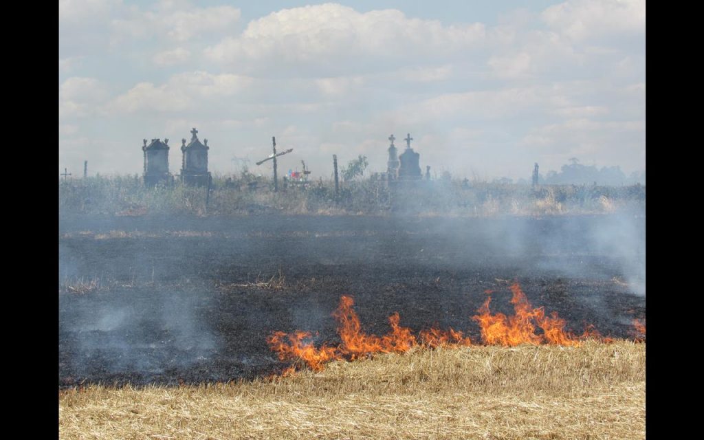 Fogo queima 40 hectares de palha de aveia em uma lavoura localizada em Buriti, zona rural de Santo Ângelo - Foto: Marcos Demeneghi