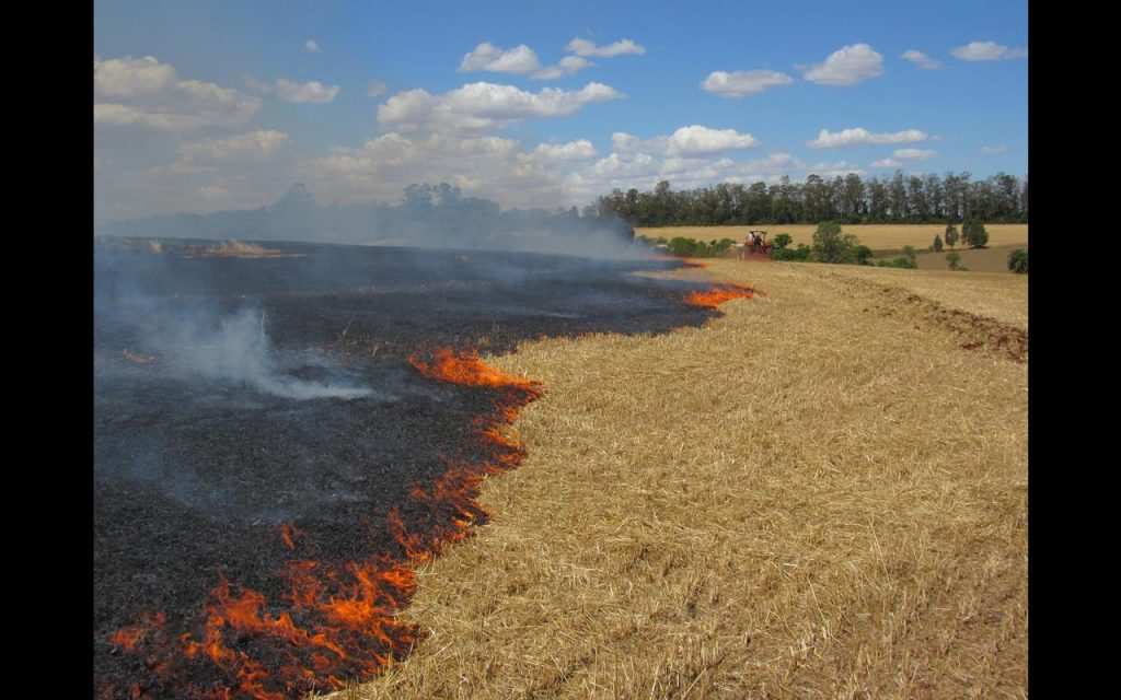 Fogo queima 40 hectares de palha de aveia em uma lavoura localizada em Buriti, zona rural de Santo Ângelo - Foto: Marcos Demeneghi