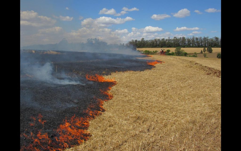 Fogo queima 40 hectares de palha de aveia em uma lavoura localizada em Buriti, zona rural de Santo Ângelo - Foto: Marcos Demeneghi 