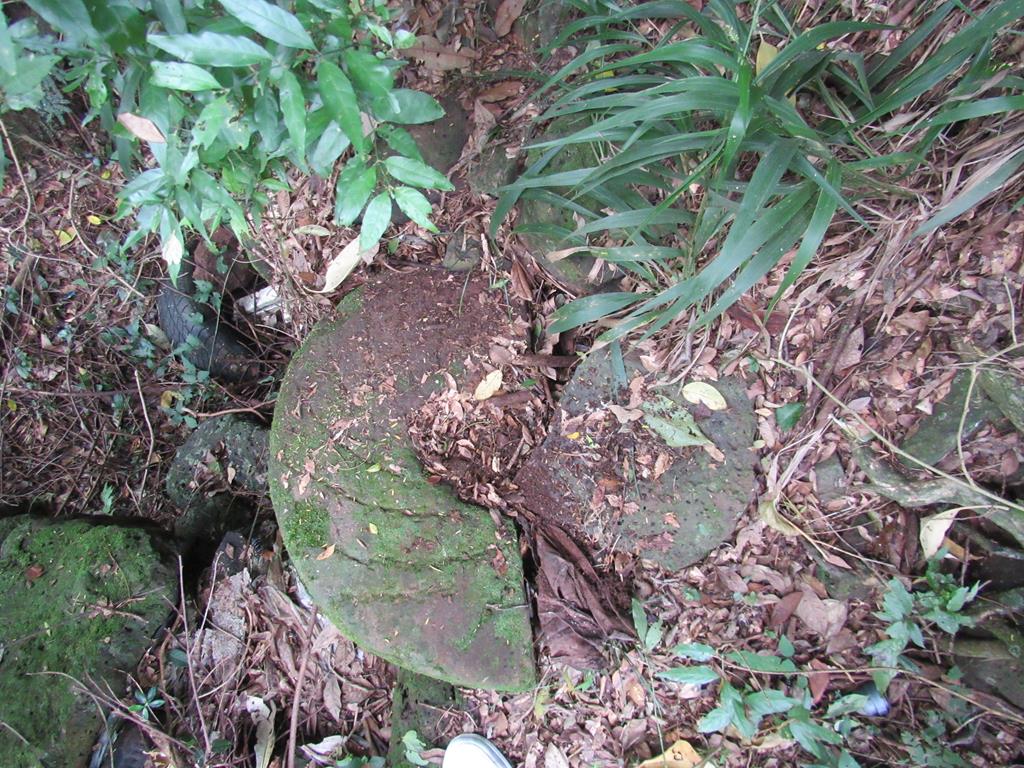 Foto: Marcos Demeneghi | pedra mó de um antigo moído localizado próximo da Cascata do Itaquarinchim