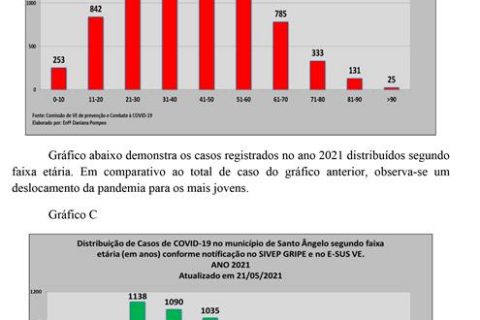 2 - Gráfico COVID (Copy)