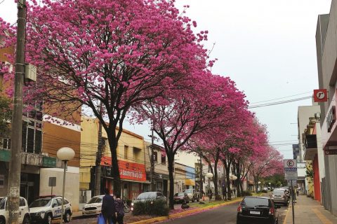 Foto: Marcos Demeneghi - Rua Três de Outubro em Santo Ângelo