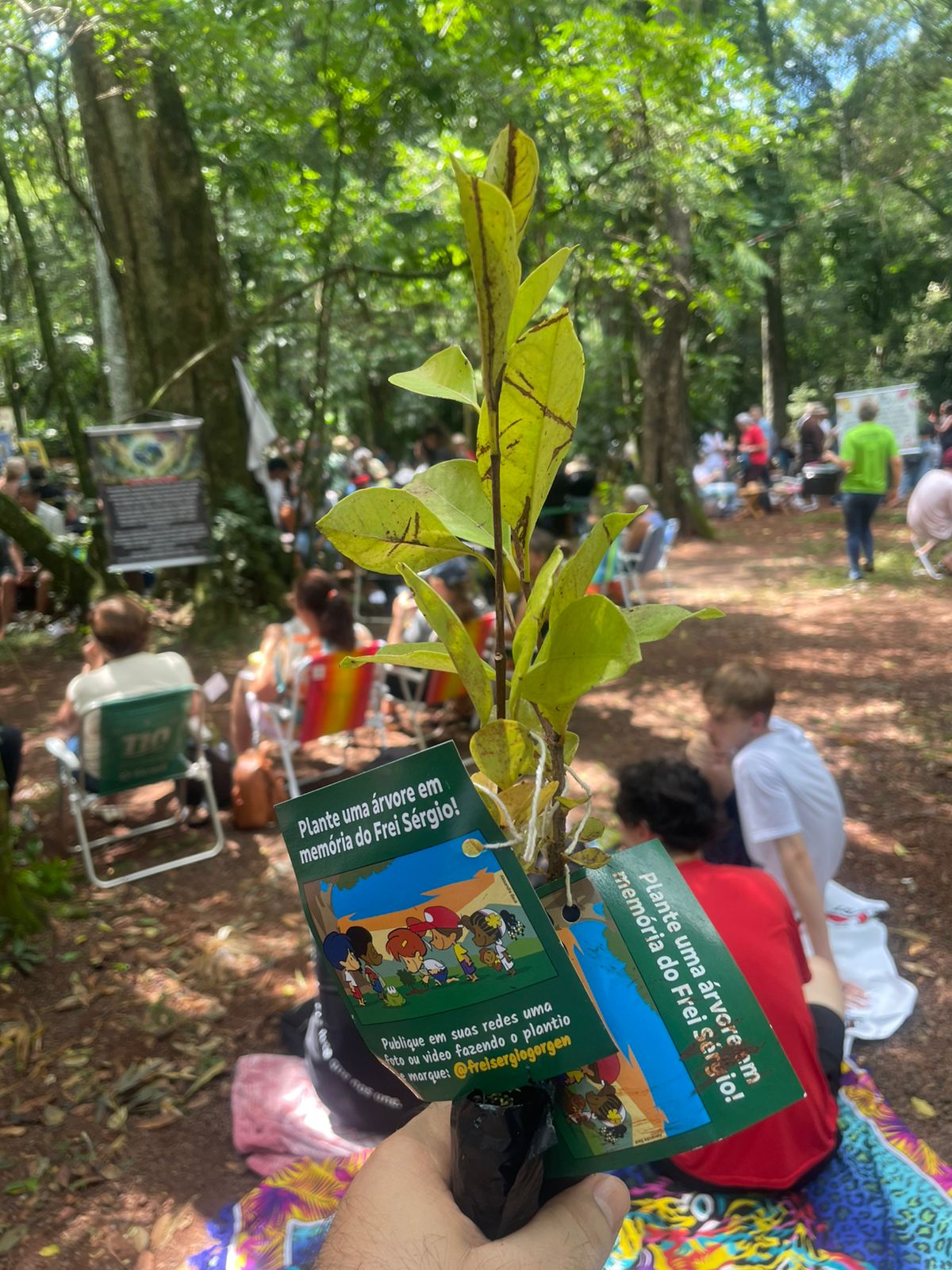 WhatsApp Image 2026-02-19 at 15.59.30 (1)