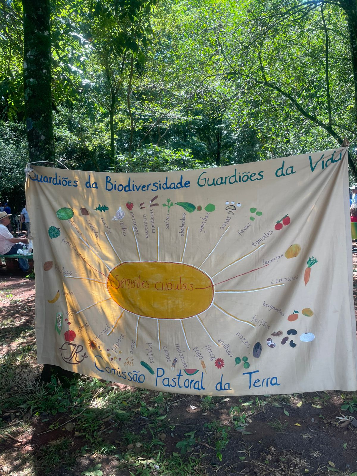 WhatsApp Image 2026-02-19 at 15.59.31