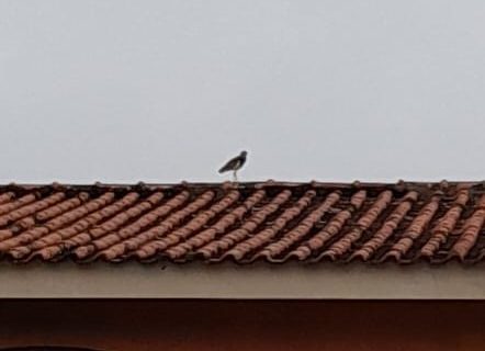 WhatsApp Image 2026-02-26 at 14.08.42