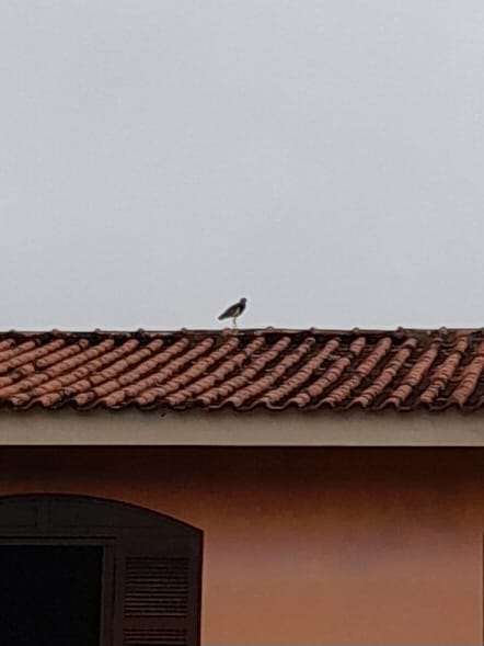 WhatsApp Image 2026-02-26 at 14.08.42