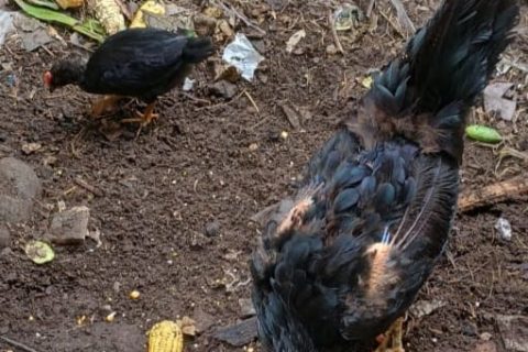 WhatsApp Image 2026-03-19 at 14.36.18