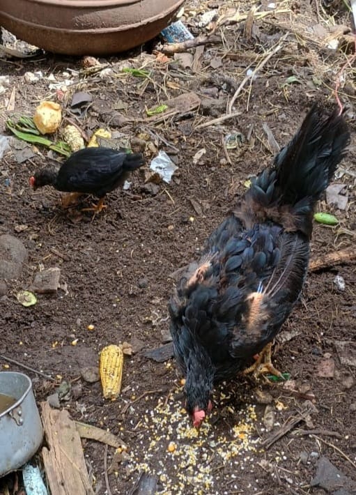 WhatsApp Image 2026-03-19 at 14.36.18