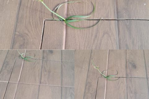 WhatsApp Image 2026-03-27 at 16.07.42