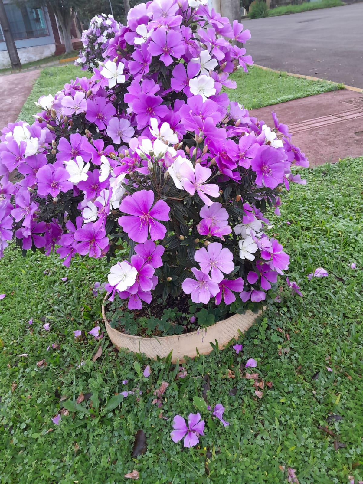 WhatsApp Image 2026-08-06 at 09.07.00